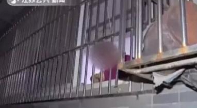 儿子接母亲接去南京尽孝 老人却悬梁自尽或因长期寂寞