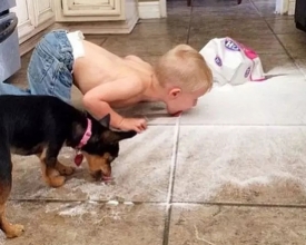 �������������һ��ʲô�����ܺ���