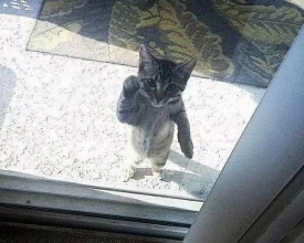 �������� ��Щ����֮����ĸ�Ц�ȳ�