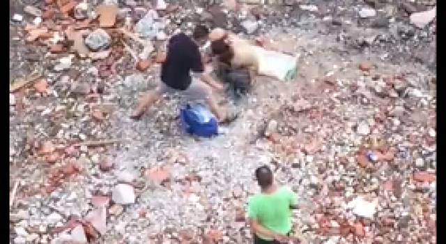丧心病狂!2男子砖头拍死泰迪犬 尖刀剥皮欲吃狗肉