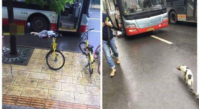 心痛!女子穿高跟鞋追公交不慎滑倒酿成悲剧