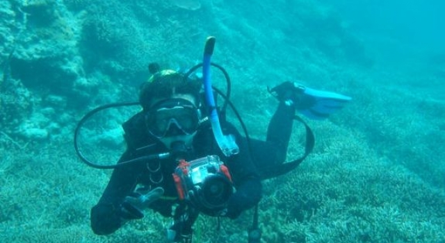 中国科学家在南海种出珊瑚 海底植树造林取得初步成绩