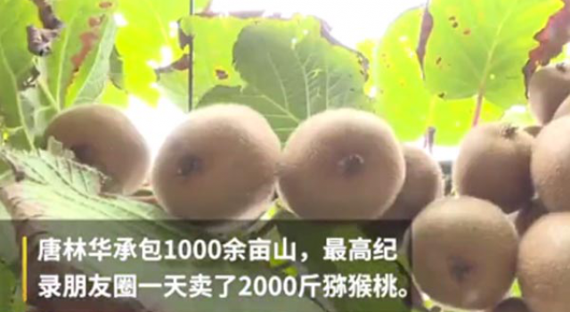银行行长辞职当农民 到底是什么原因促使他做此决定