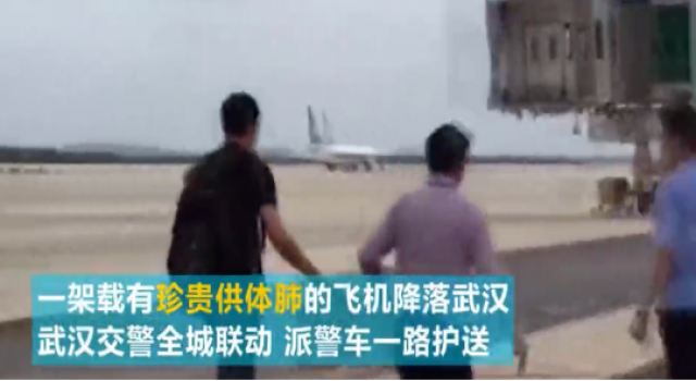 交警护送活体肺源 “绿波带”辟出生命通道