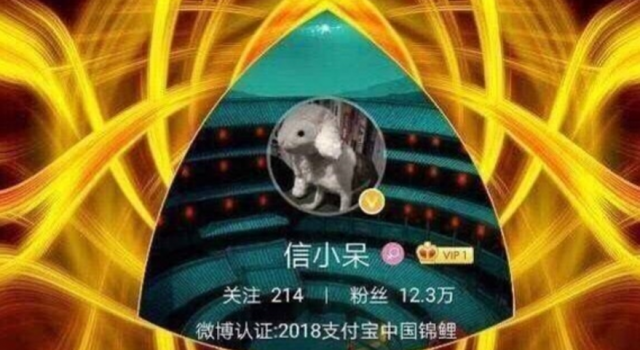 锦鲤附体的经历 只有努力的得来的幸运才是最好的