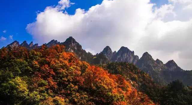 秋季最美的五条自驾路线 让你看遍绝美秋色