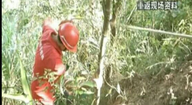 出生女婴抛下山崖 狠毒父亲竟深夜将女婴抛下山崖?