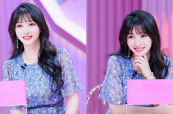 柳岩否认回乡买十套房 房子是用来住的不是用来炒的