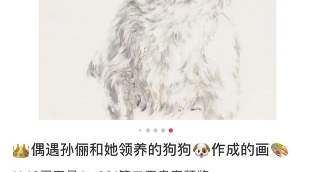 网友偶遇孙俪做公益,本人脸超小人又瘦,热情给粉丝签名合影