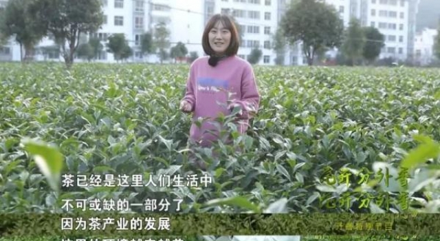 江苏卫视播出《石头开花》特别节目 剧集主创、基层干部共话扶贫