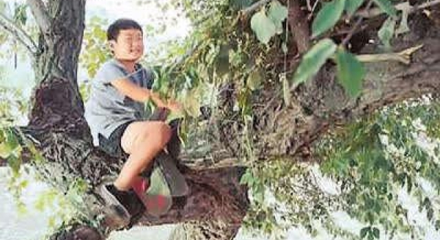 从“网络大电影”到“网络电影”