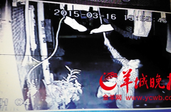 东莞市奇葩男专偷女性内衣 街坊疑有“内衣盗窃团伙”