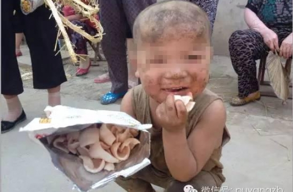 河南7岁男童遭虐待四季与猪共处 至今不会说话(图)