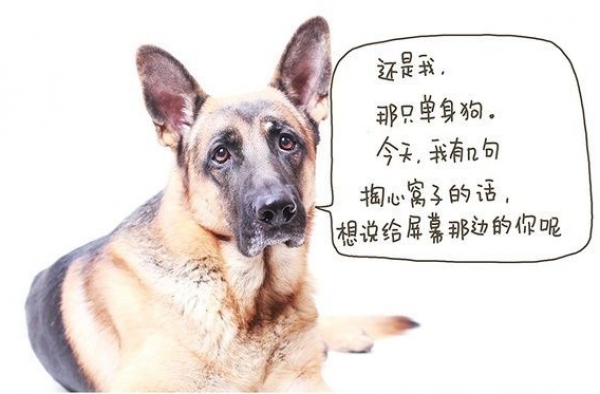 为何要选择大城市：我的狗生 你的人生