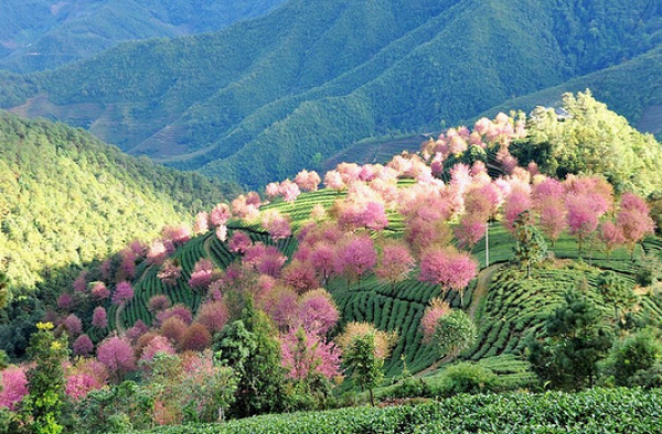 2016年春节旅游推荐：春节全家出游成为新宠