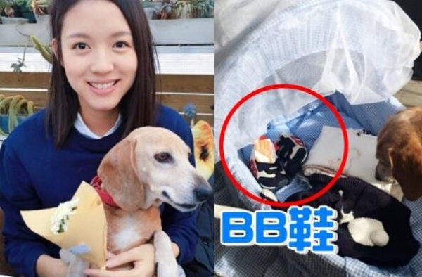 张梓琳晒BB鞋确认怀孕 张梓琳老公聂磊背景遭曝光
