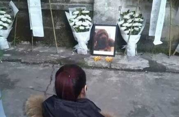 女子爱犬被害死 工业园内摆数十花圈悼念 诅咒凶手