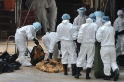 h7n9д; h7n9֪ʶ֪Ԥ