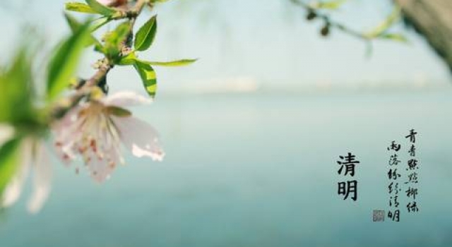 清明节的作文600字范文 清明节给人的感觉是忧愁的