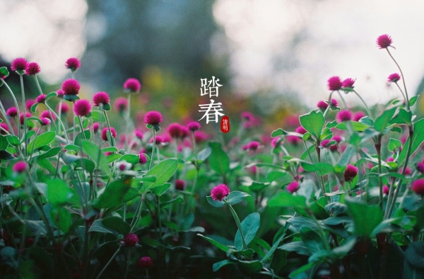 2016年关于清明节故事介绍 你不可不知的清明节习俗