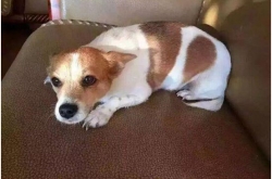 ŮؽѰ:3ǵ10 ಻òҸ