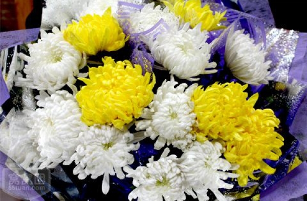 清明节鲜花祭祀托真情 既环保又安全