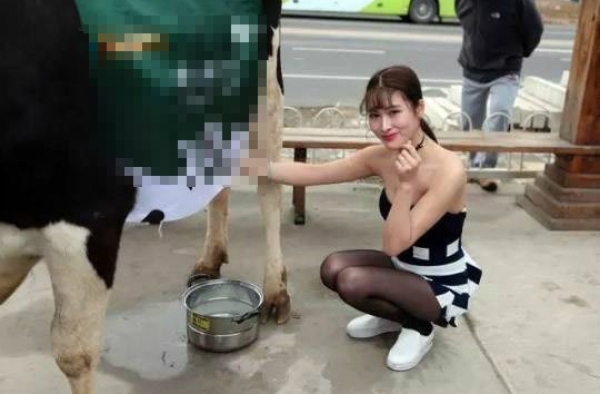 "挤奶妹"清凉装扮北京小区前当众挤奶 一盒8元供不应求