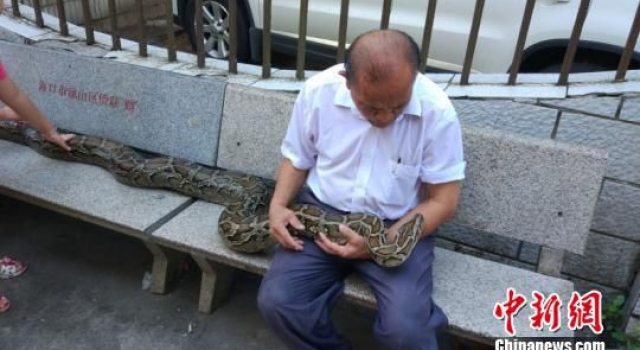68岁老人与120斤蟒蛇同吃住似亲人:给它花钱从不犹豫
