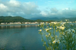 СҰӾˮ 30Сʱʬϰ