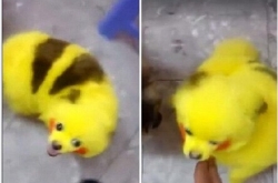 Ӱ!СȾƤߺ ²