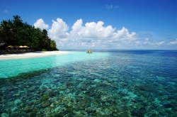 ħ��ħ�������� �������������ĵط�������