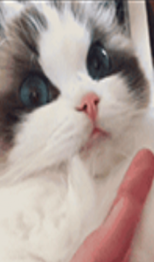 搞笑GIF 我去~这是风油精