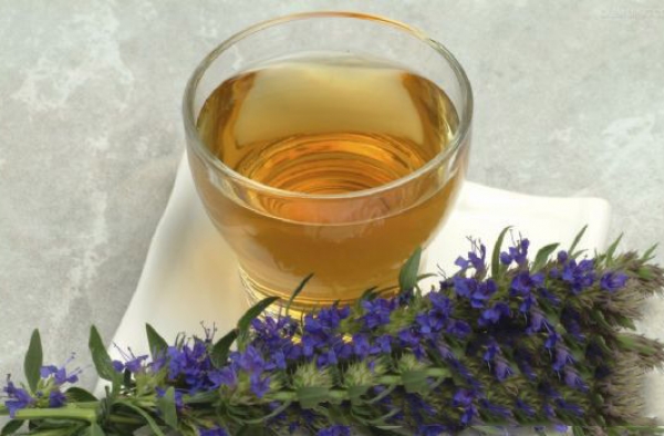 下午茶喝什么 上班族必备的六种提神醒脑茶