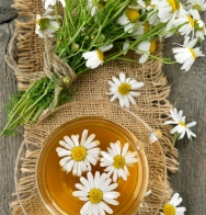 喝菊花茶要注意什么呢？ 这些养生常识你一定要知道