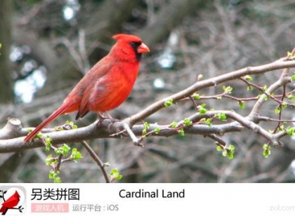 另类拼图游戏《Cardinal Land》详细介绍