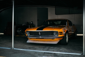 ϵСƷ 1970Ұʵ
