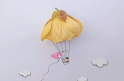 ըĴƷ ô˶