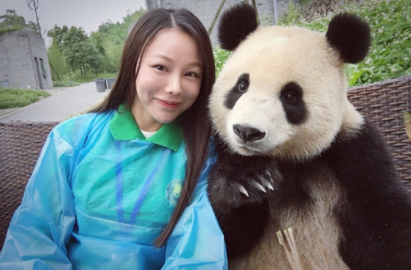 妹子和大熊猫合影 大熊猫抢自拍杆还自己找角度