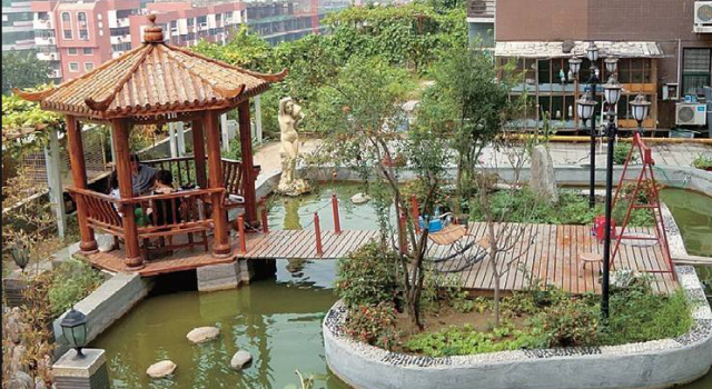 市民建“空中花园” 面朝都市春暖花开