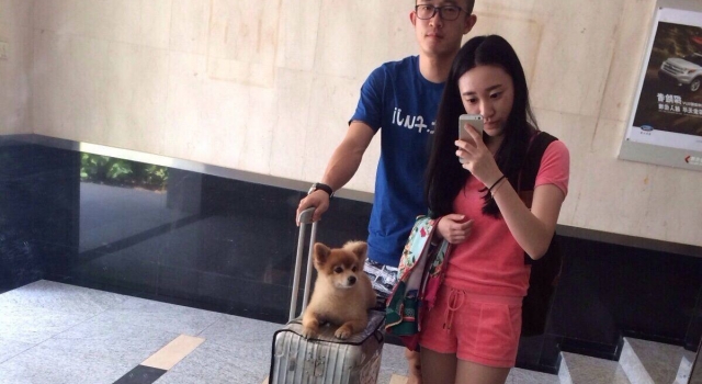 姜至鹏老婆个人资料及照片曝光 张之悦美貌不输小三