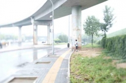 鱨֯Ⱥڵҹ
