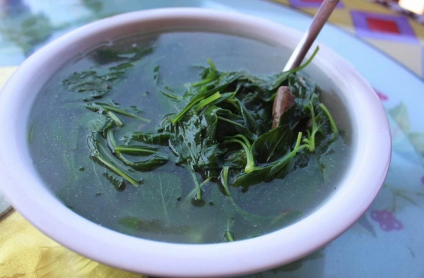 苦菜居然这么强大 清热解毒还抗癌，你一定没想到
