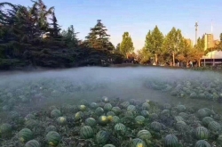 У3500ͱҵ ѣѧУǷһ