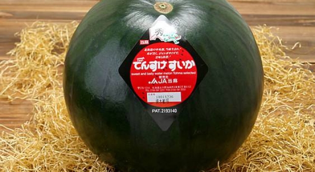 日本天价西瓜3.1万元 岛国的水果都是这么贵？