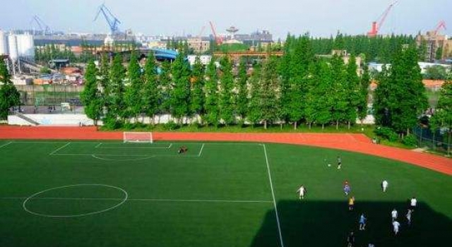 男子斥巨资将垃圾场变足球场 城管依法拆除