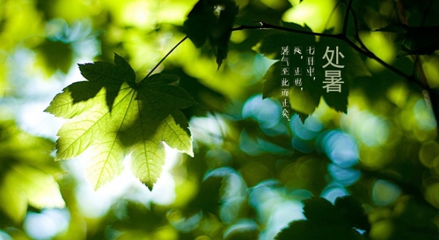 处暑吃什么比较好 处暑节气应该如何养生