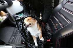 겻ˤС ޵Ǹû취ԭ£