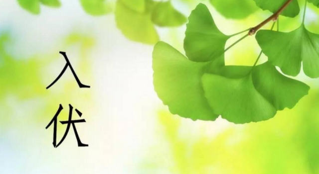 今日入伏，一年中最热的时候到来