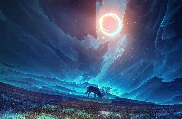以天为盖 以地为庐 感受星空