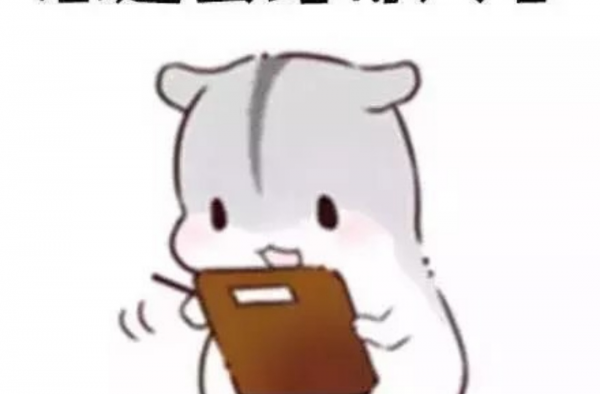 自古真情留不住 总是套路得人心